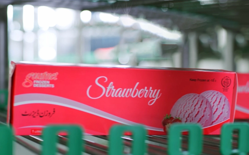 Gourmet Strawberry Icecream